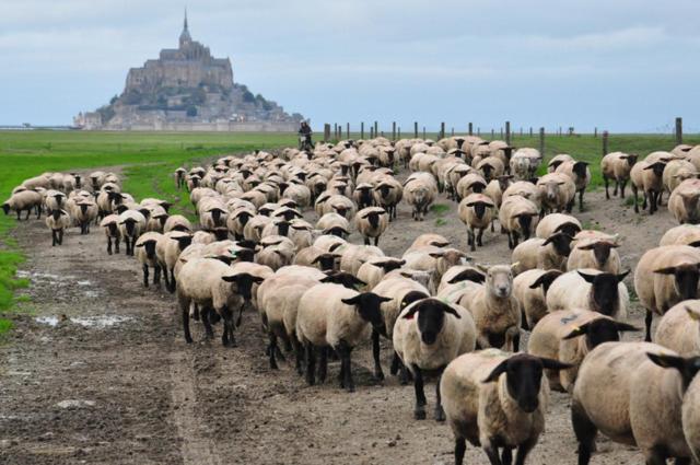 B&B La Rive - Le Mont Saint Michel 아르드봉 외부 사진
